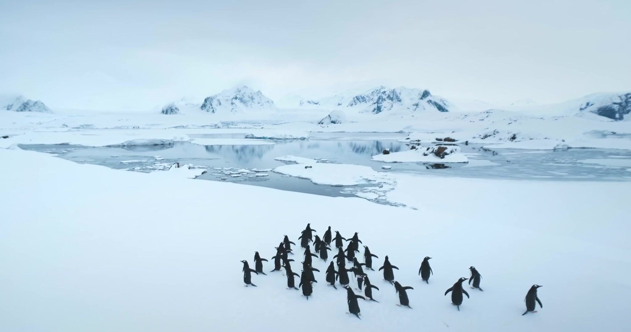 Antarctica Expedition